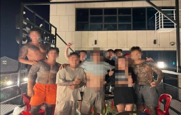 대마인 복장에 대한 프로 총잡이의 평 이미지 3
