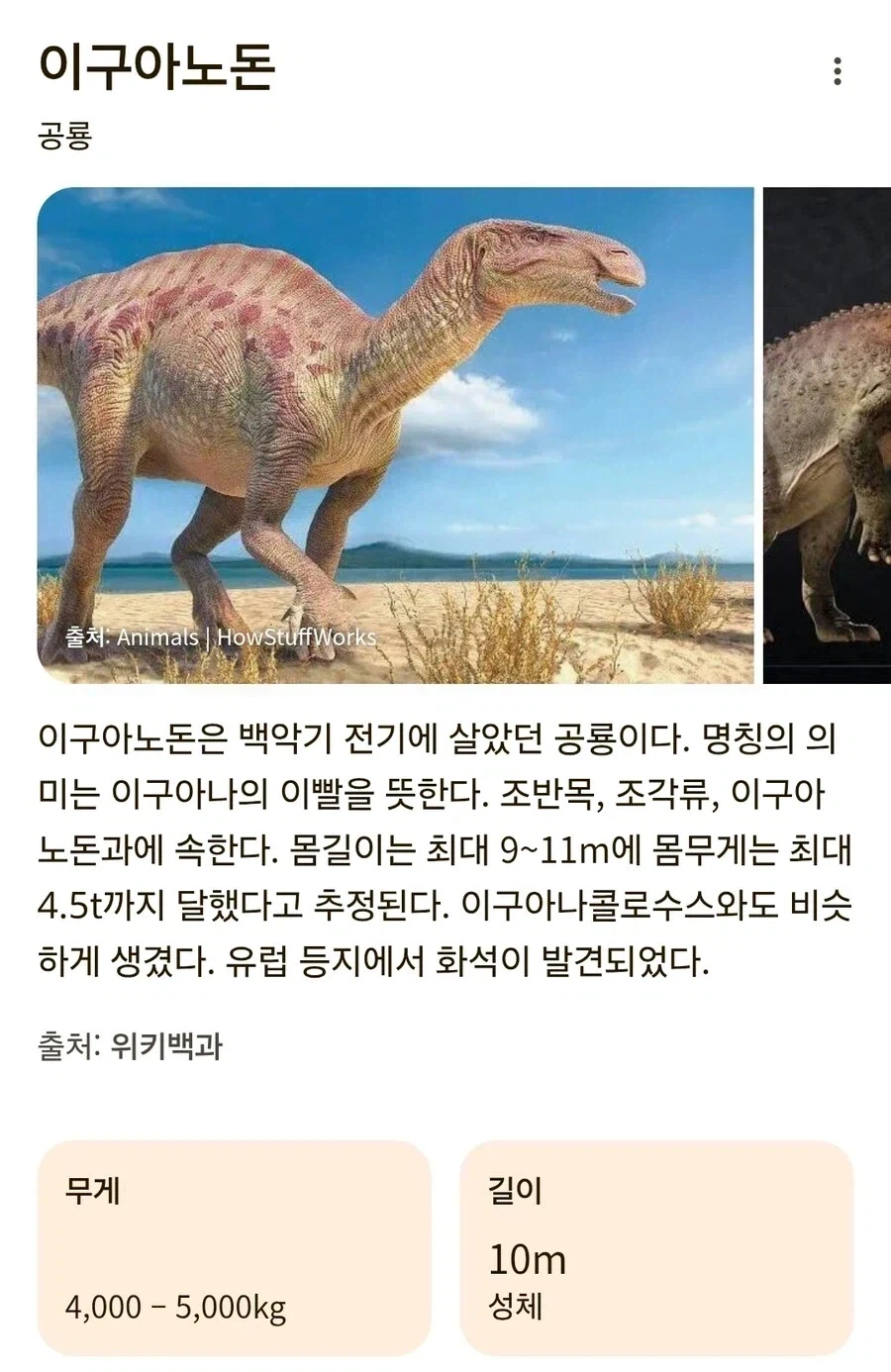강원랜드에서 하나님 덕분에 천만 원 딴 사람;; 대표 이미지