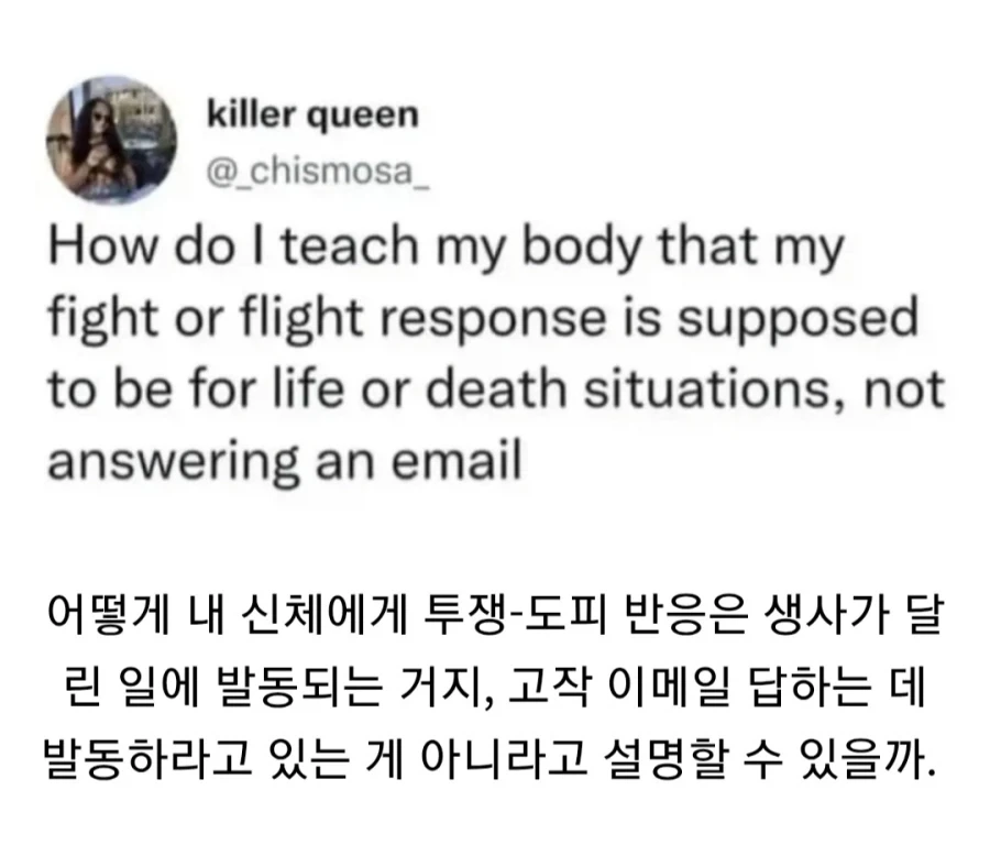30대 직장인인데 폰케이스 이러고 다닌다 이미지 2