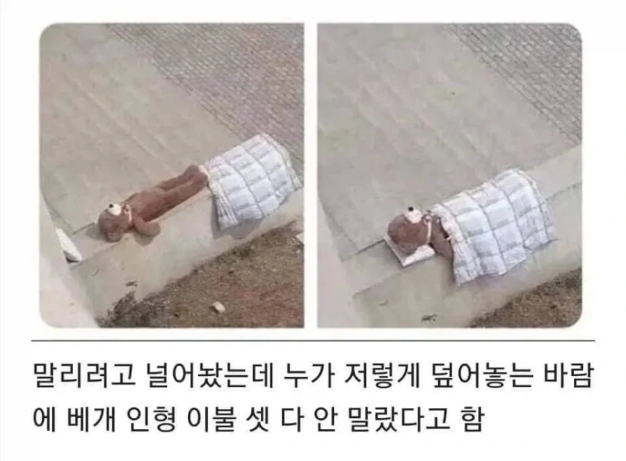 시발 버거킹인줄 알고 들어왔는데 수제버거집임 대표 이미지