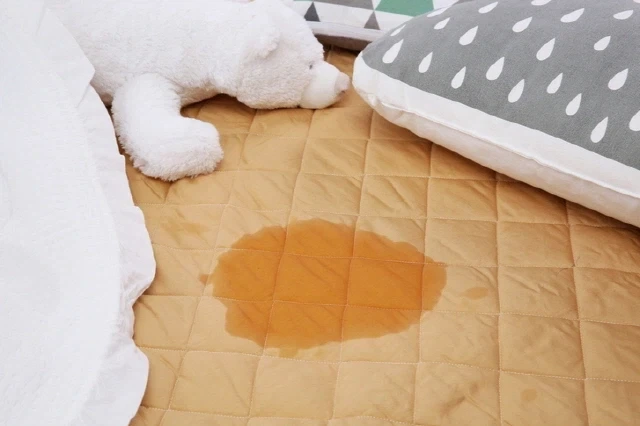 잘생긴 애가 잘 사니 배아프신분 이미지 2