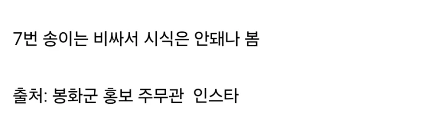 배우 이시언 봉화군 방문시 받는 혜택_2.webp
