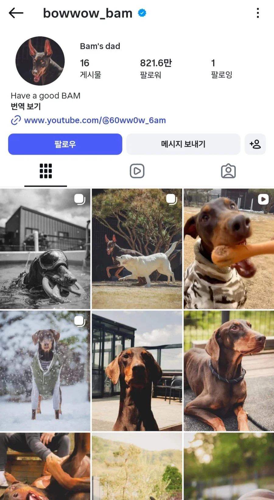그래미 보이콧에 대한 한 프랑스 언론의 평가 ㄷㄷ_3.webp