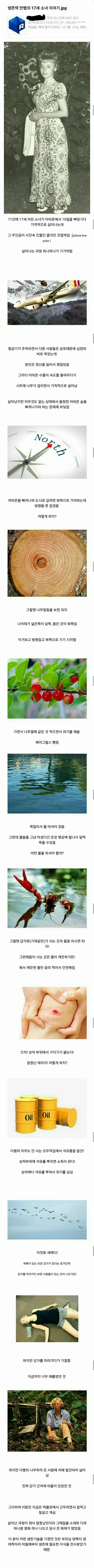 어린애들 전기 위험성 알려주는 책들 삽화 왤케 무섭냐 이미지 2
