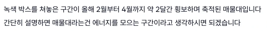 학대로 의심받아 억울한 시바 견주... 대표 이미지