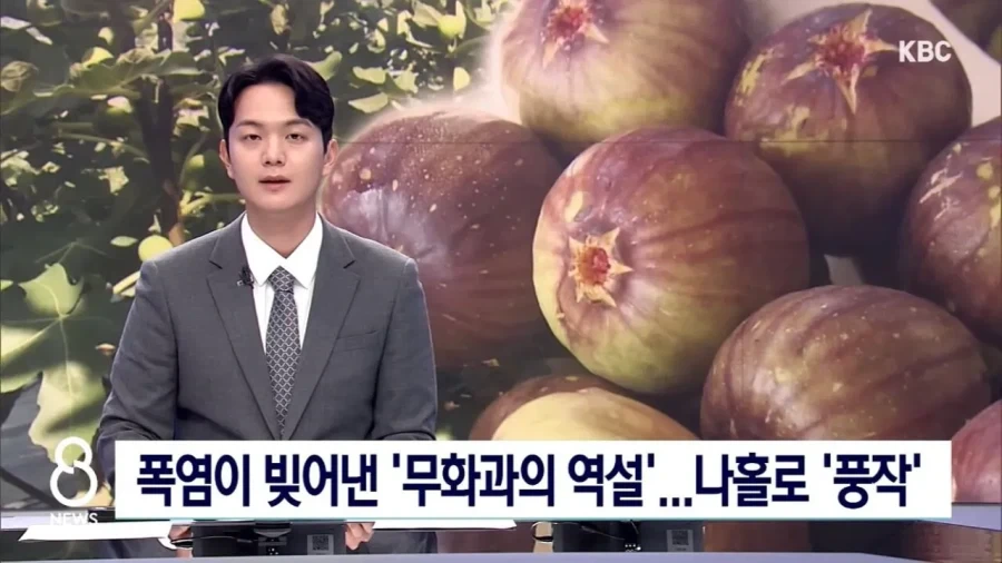 30대 이상 사회인의 카페인 단절 후기 대표 이미지
