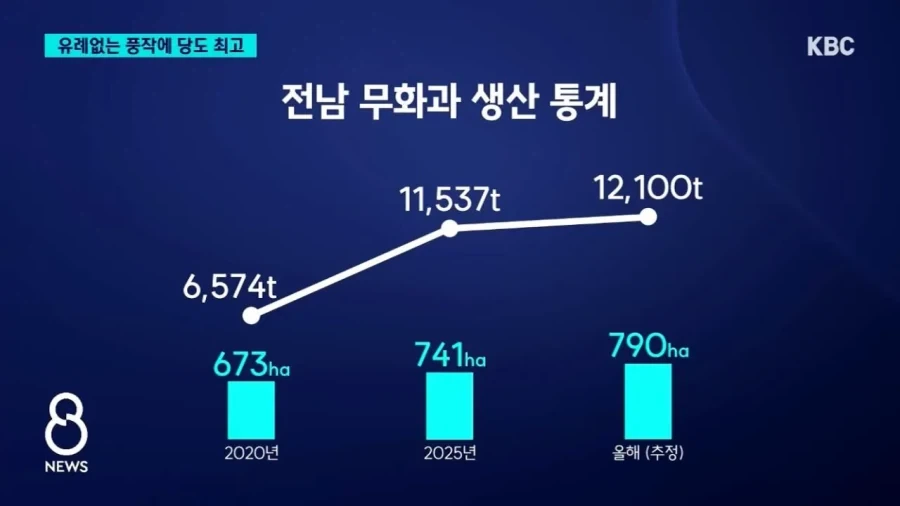 폭염 + 가뭄으로 수혜를 본 과?실_2.webp