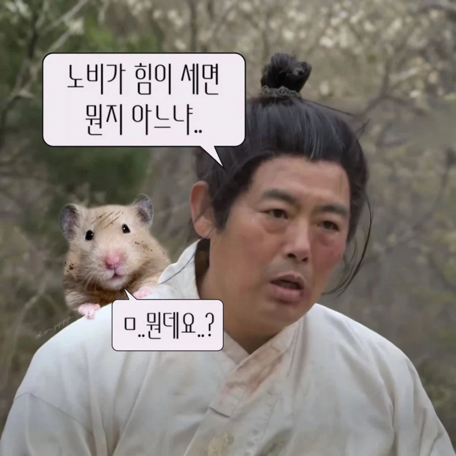 노비가 하늘을 날면?_5.webp