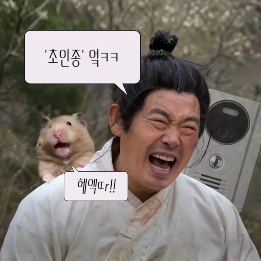 노비가 하늘을 날면?_6.webp