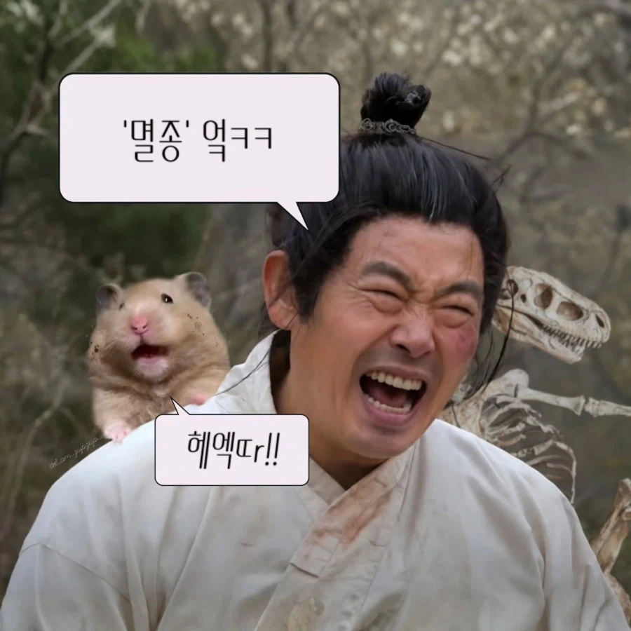 노비가 하늘을 날면?_8.webp