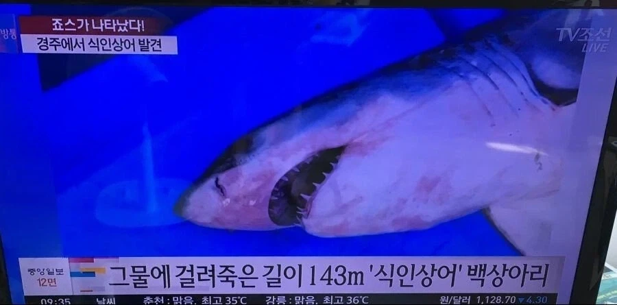 정해인 매니저 합법갑질 이미지 2