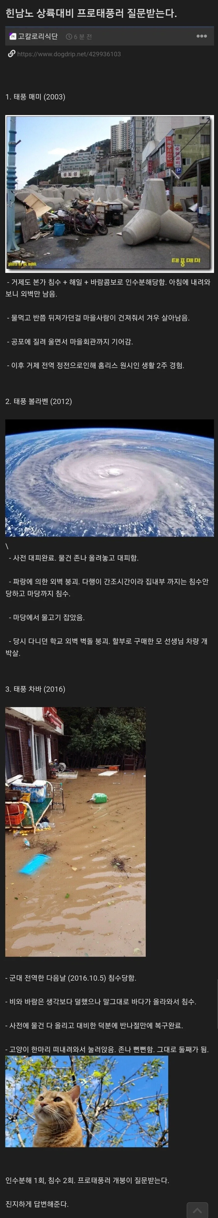 15년만에 생기는 어느 지역의 맥도날드.jpg 대표 이미지