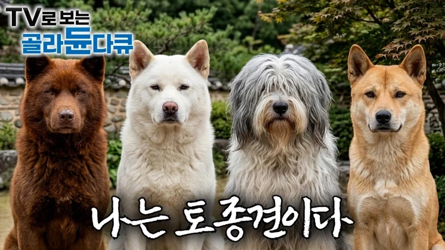 봇치] 음악적 재능은 확실히 떨어지는 멤버가 가장 존중받는 이유 대표 이미지