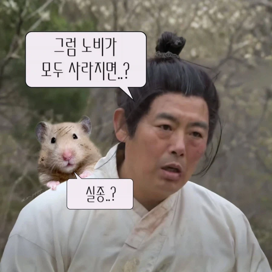 노비가 하늘을 날면?_7.webp