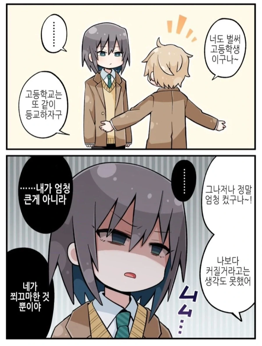 이제 키도 커졌고해서 여장은 안하겠다는 동생_2.webp