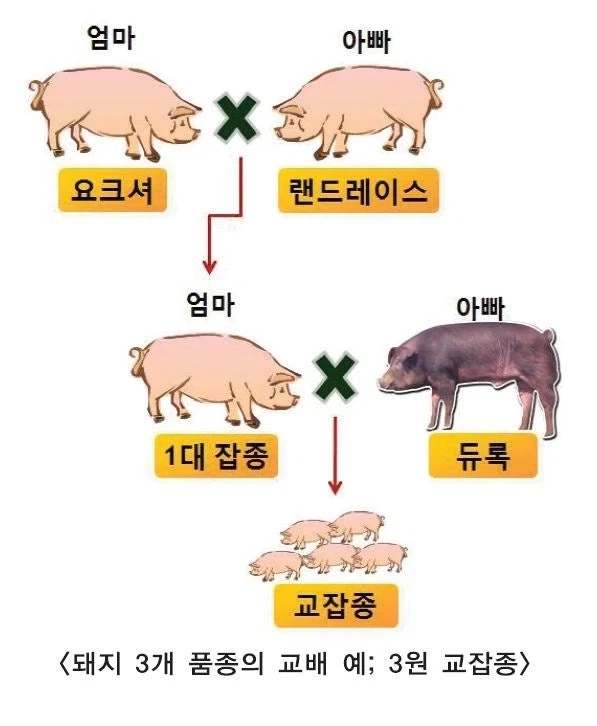한은 "청년 일자리 감소분 94%, AI 고노출 업종서 발생" 이미지 2