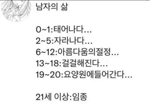 노비가 하늘을 날면? 이미지 6