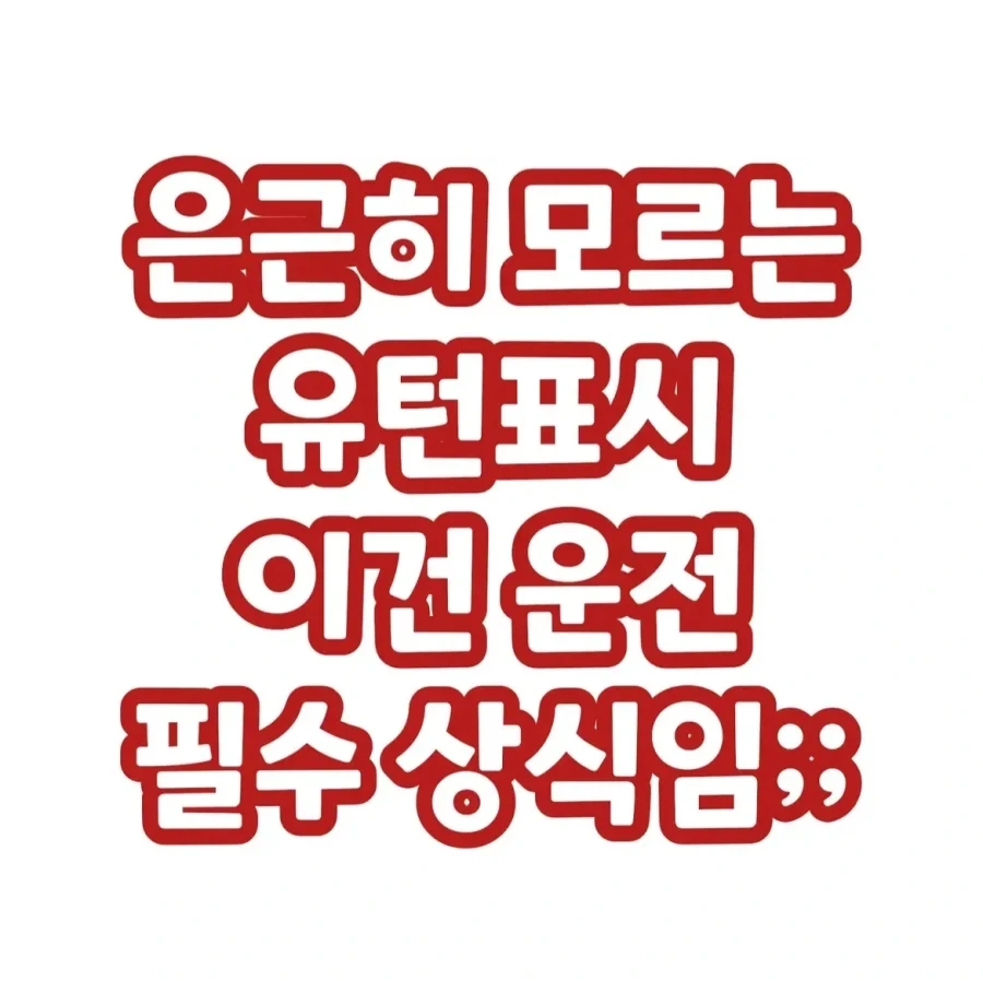 노비가 하늘을 날면? 대표 이미지