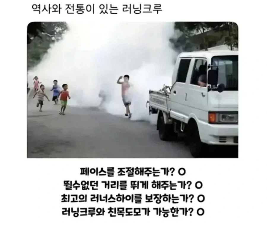 한국 토종 댕댕이들... 대표 이미지