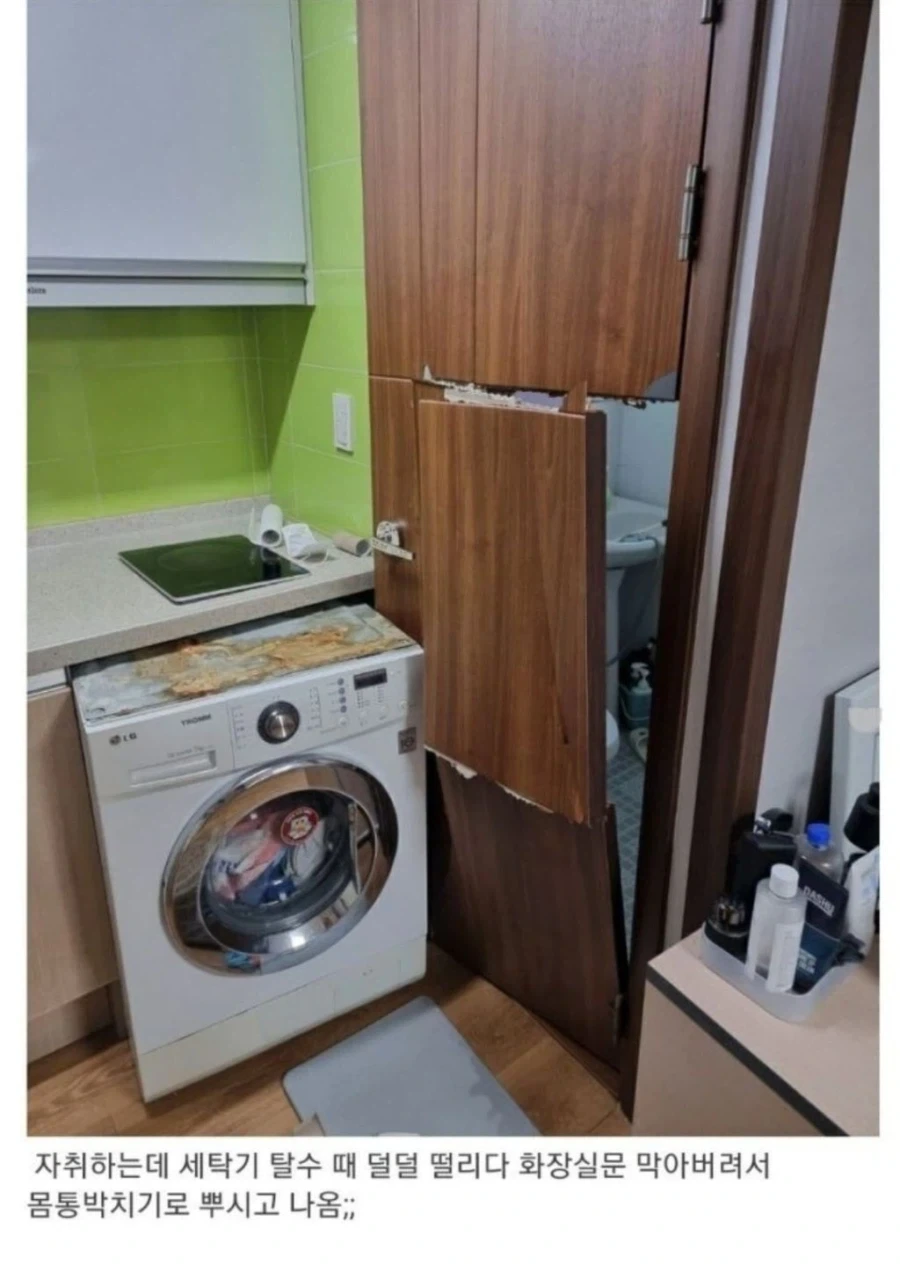 오크가 수컷 엘프만 강1간하는 이유 이미지 4