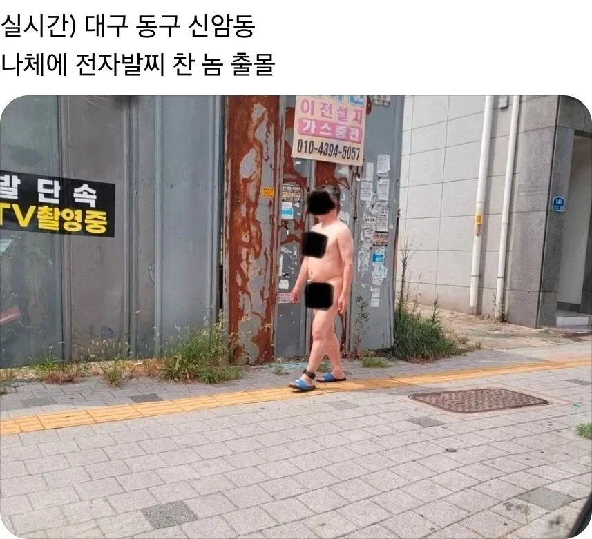 오크가 수컷 엘프만 강1간하는 이유 이미지 3