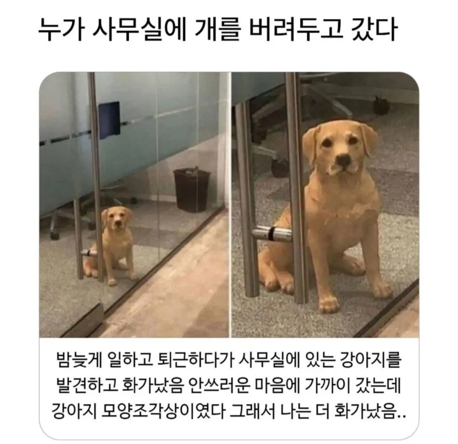 체인소맨 요루의 상여자식 도움 요청 대표 이미지