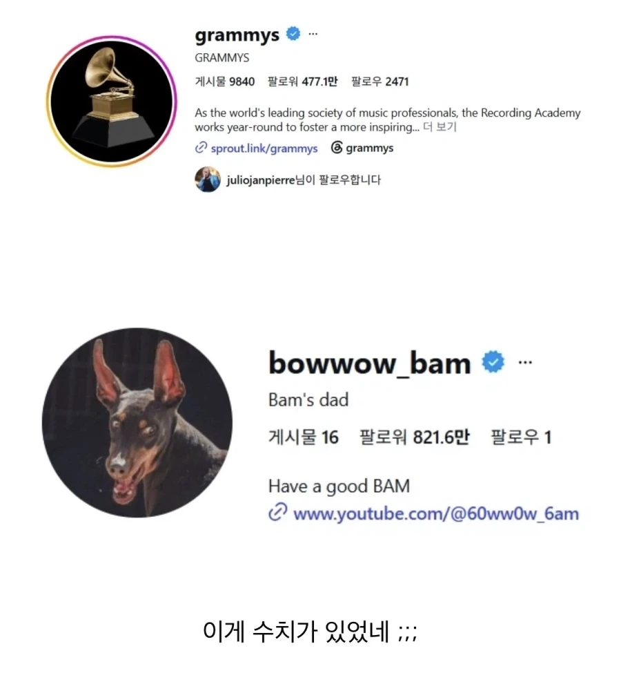 그레미 < BTS 애완견 < 그레미X2_3.webp