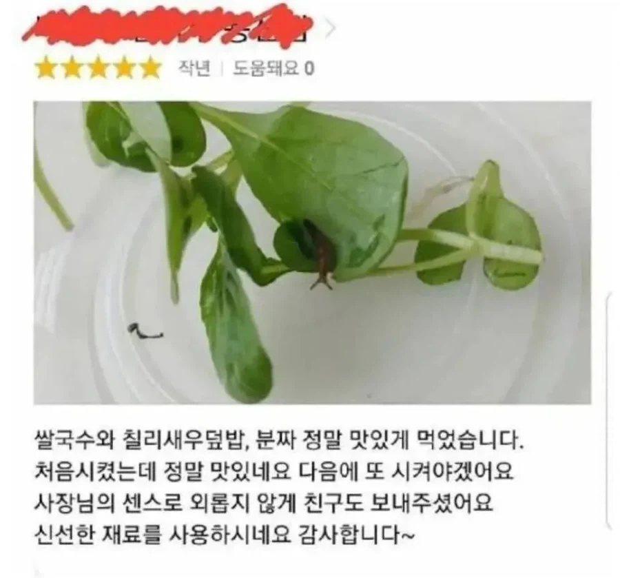 긍정적인 사람들이 쓴 리뷰_2.webp