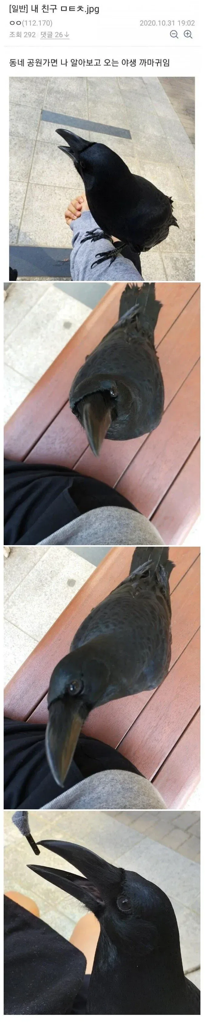 덮밥집 장사가 힘든 이유.jpg 대표 이미지