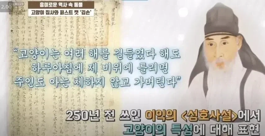 MCU)의외로 꽤 많은 경우 이미지 5