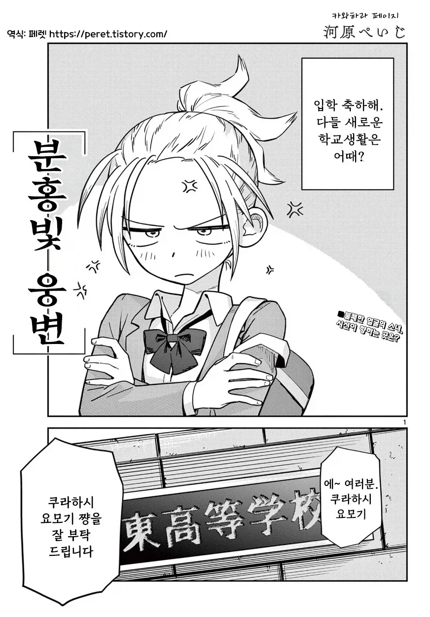 포켓몬)역시 로사는 예쁘네 이미지 5