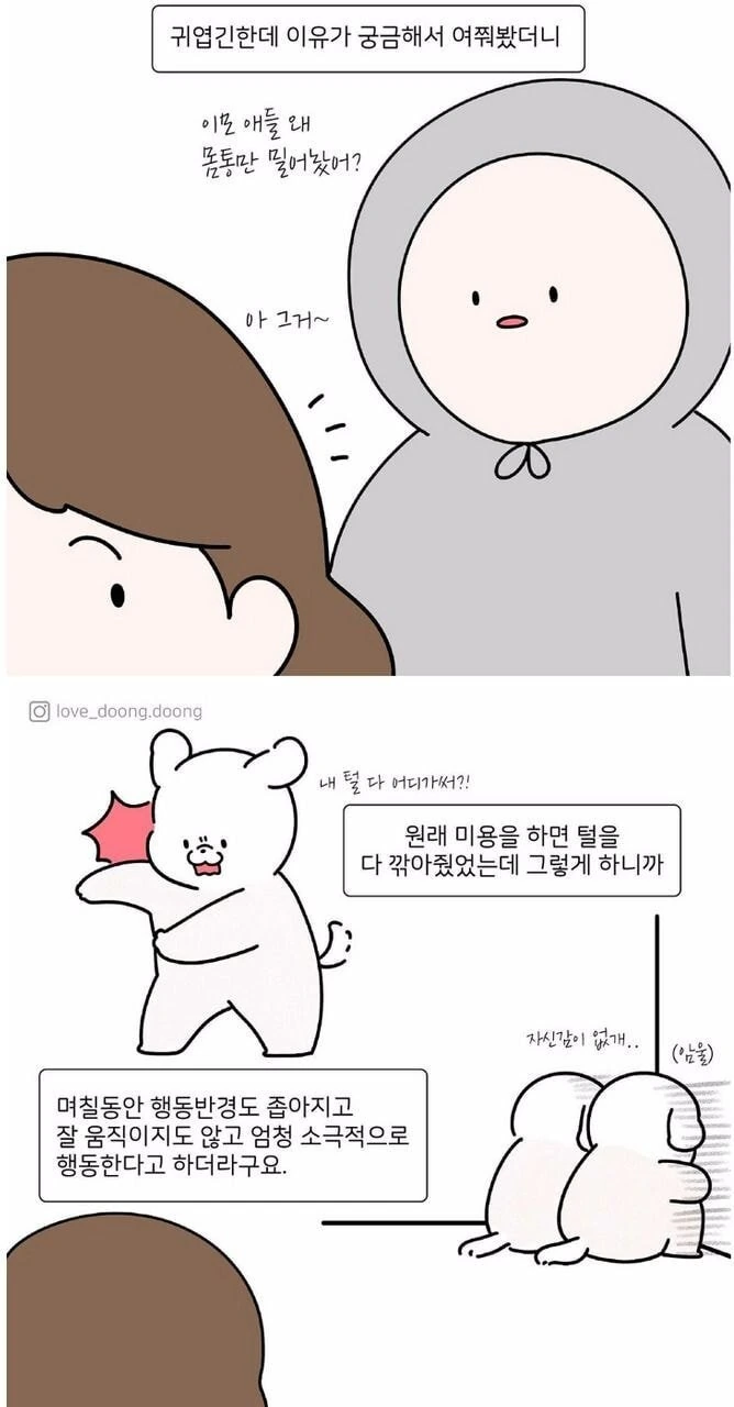 manga_990470_002.webp