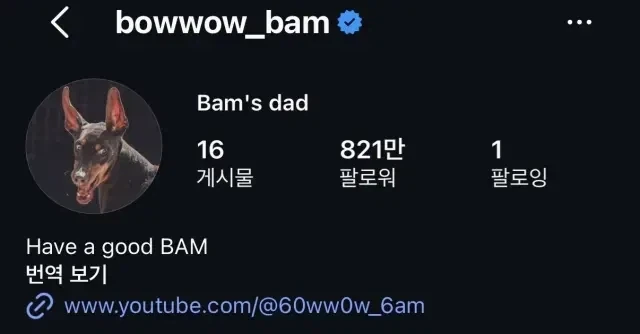 그레미에 순수 비난같은 팩폭을 갈긴 프랑스언론_4.webp