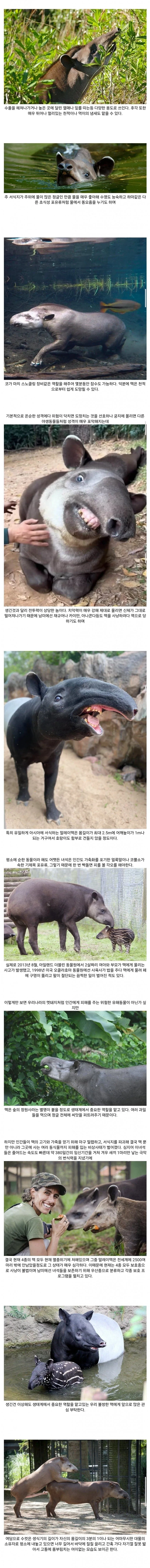 의외로 사람 죽이는 흉기가 될 수 있는 일상용품 이미지 4