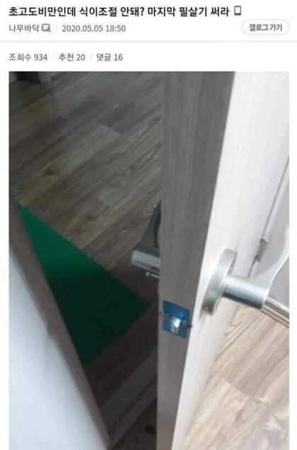 플랑크톤의 비밀.jpg 대표 이미지