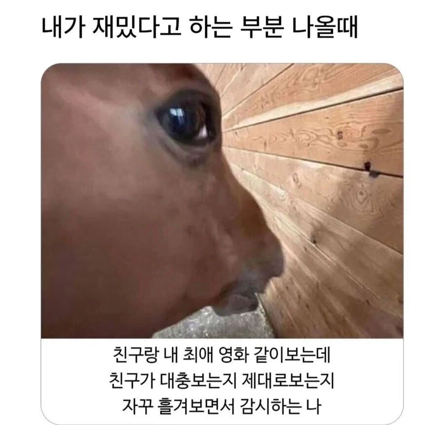 성우) 치지직 보다가 목소리 빨간약먹음 이미지 2