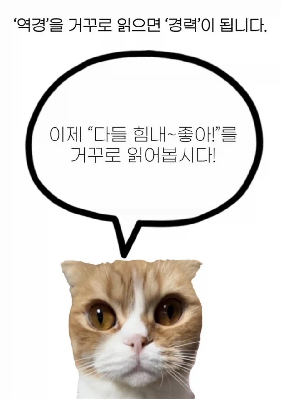 요새 배달어플 사용하면 본다는 문구.jpg 이미지 2