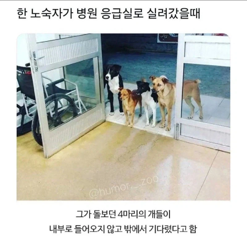 주인공 아들을 내세워 가장 많이 팔린 2세대 작품 대표 이미지