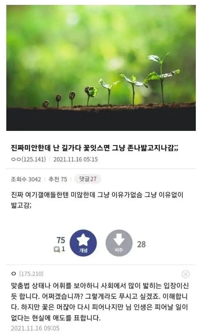 블리치에서 억울하게 음해당하는 캐릭터 원톱 이미지 7