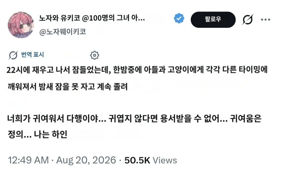 아이 낳은 지 얼마 안된 집사의 고충_2.webp