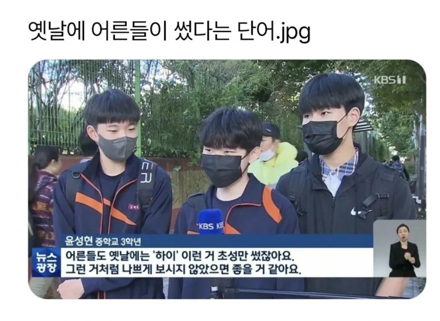냉장고를 타기 위한 처절한 노력 대표 이미지