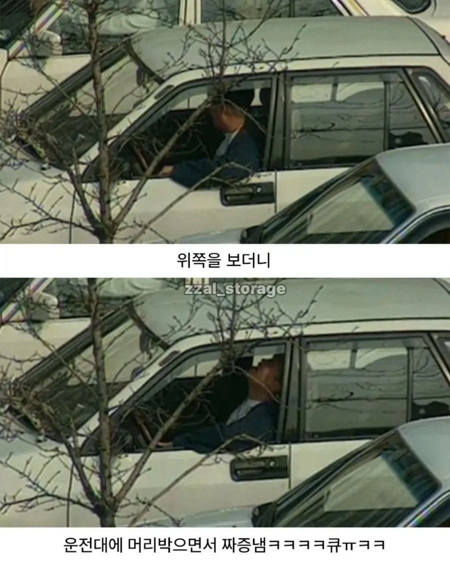 냉장고를 타기 위한 처절한 노력_3.webp