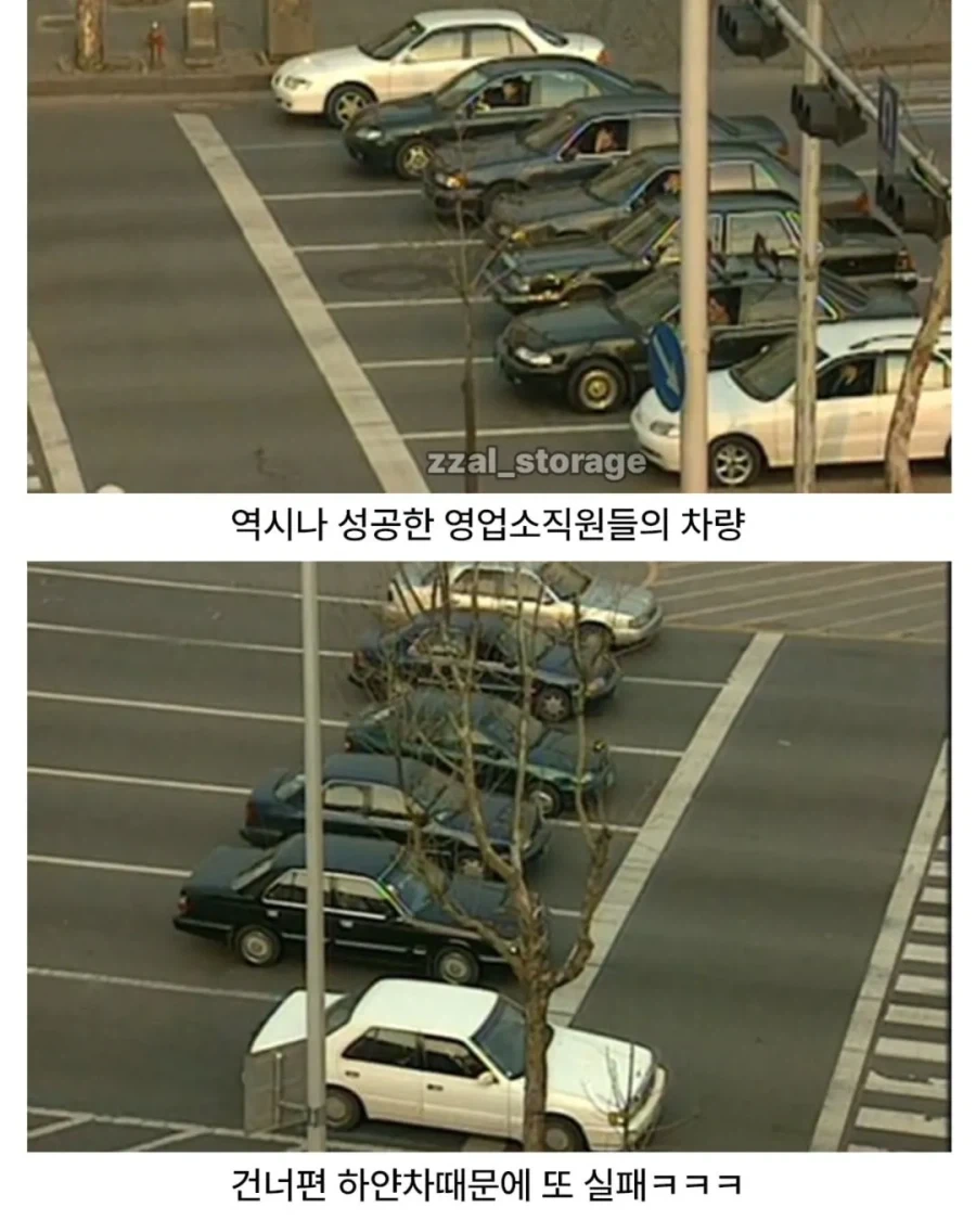 냉장고를 타기 위한 처절한 노력_11.webp