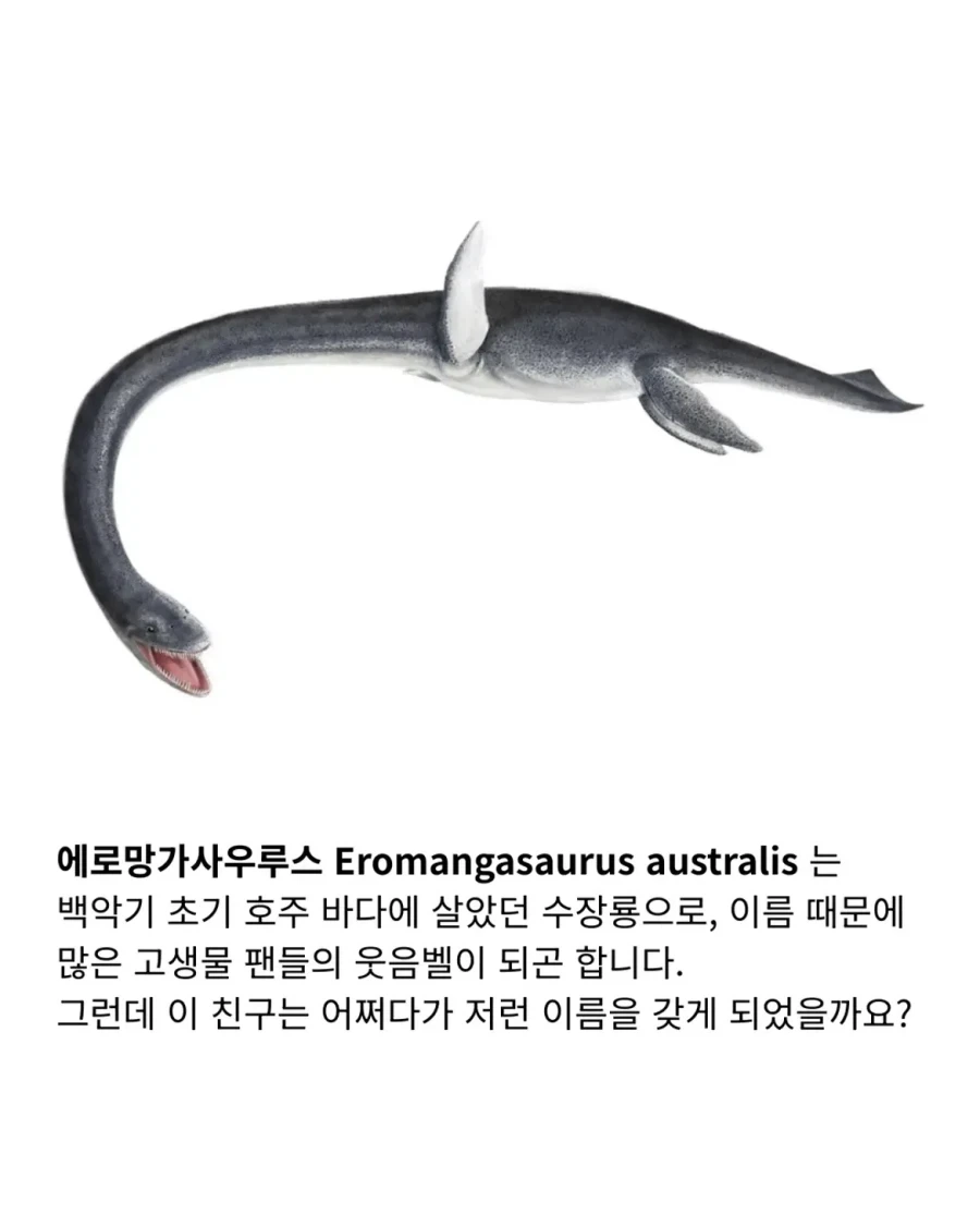 교쥰닌... 남은 호바기들을... 지켜주세용... 대표 이미지