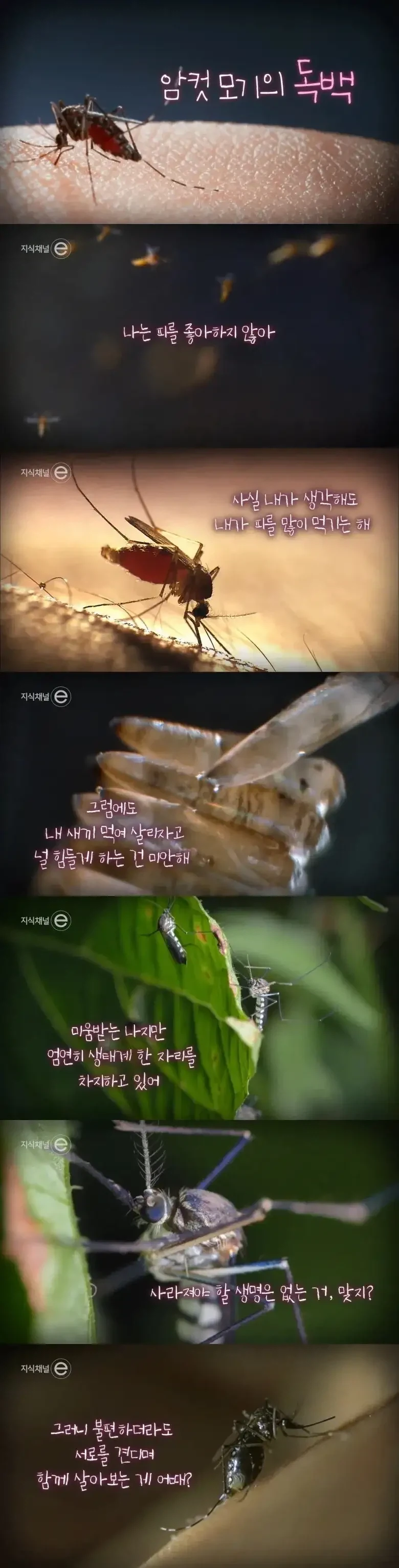 남자라면 절대 못 참는 것 대표 이미지