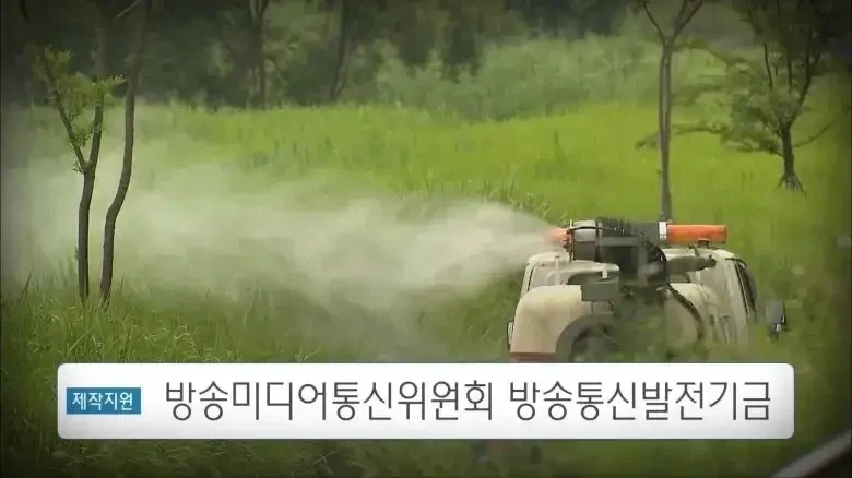 EBS에서 진행한 모기 인터뷰.jpg_2.webp