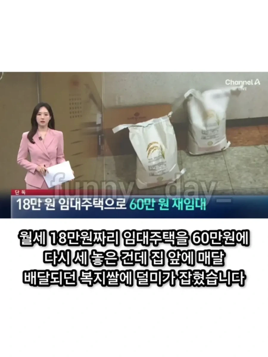 공공 임대 주택 되팔이_2.webp