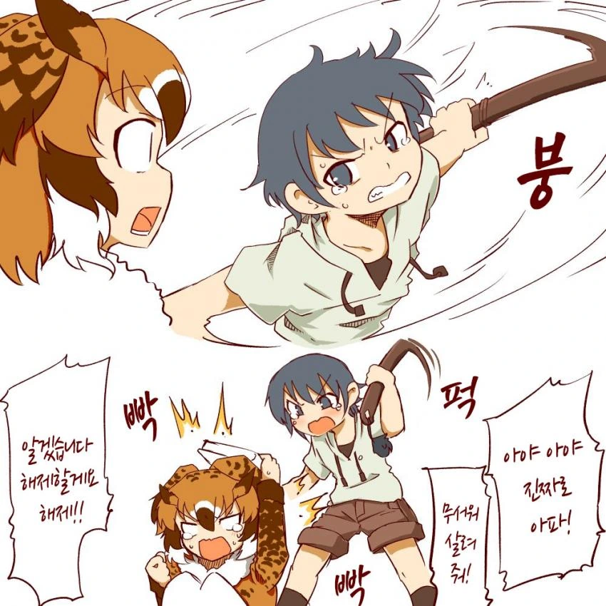 manga_1636216_011.webp