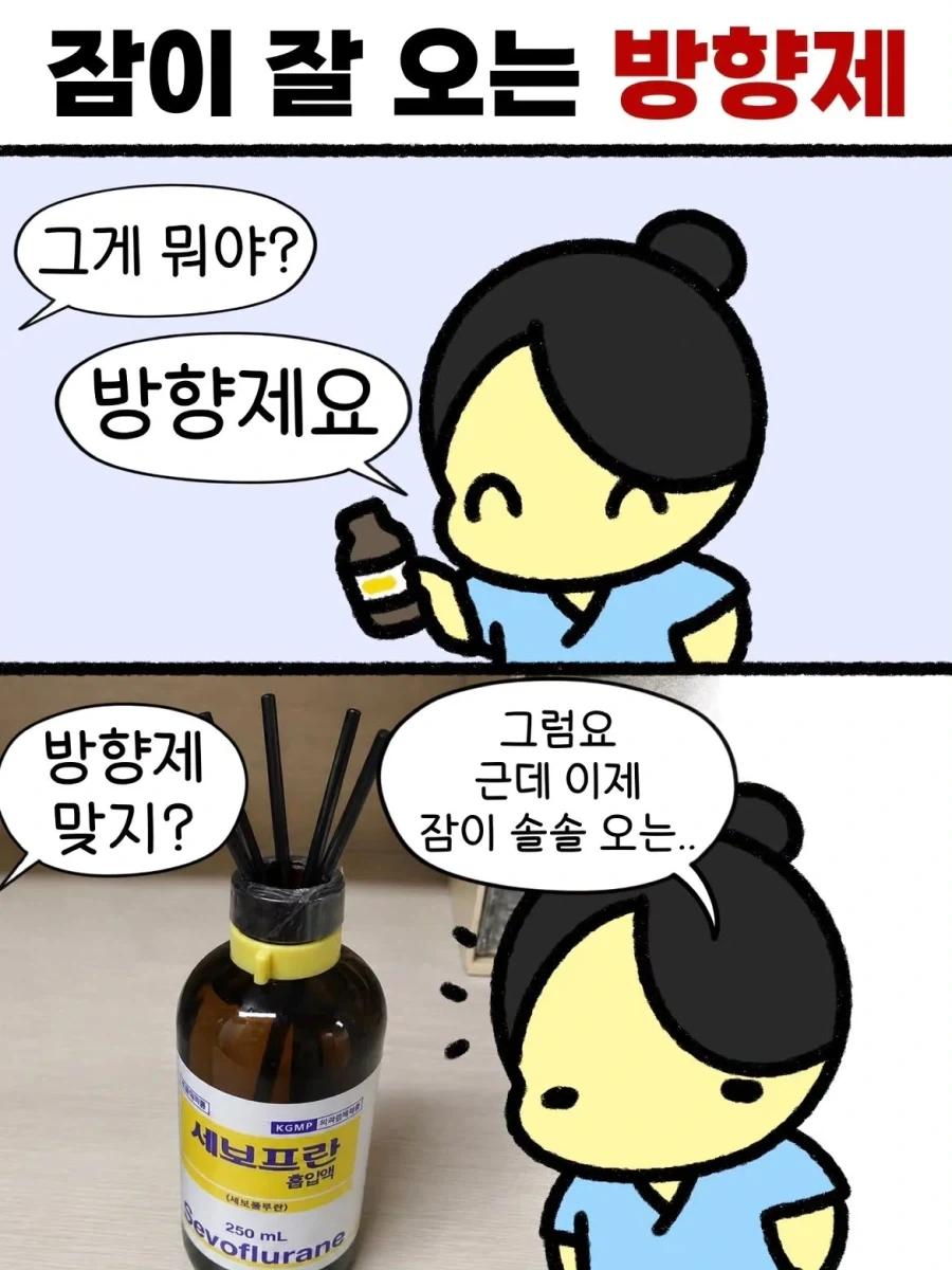 @) 무릎 위에 앉은 카호 대표 이미지