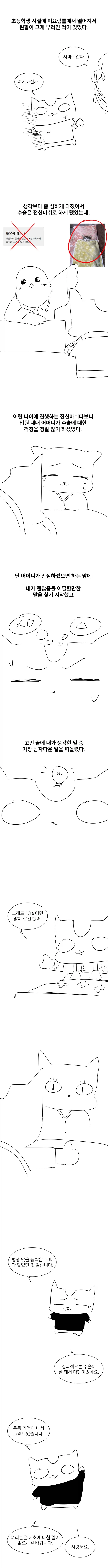 금태양이 ㅇㅋ으로 개조당하는 만화 대표 이미지